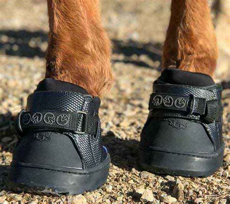 horse sneakers hoof boots